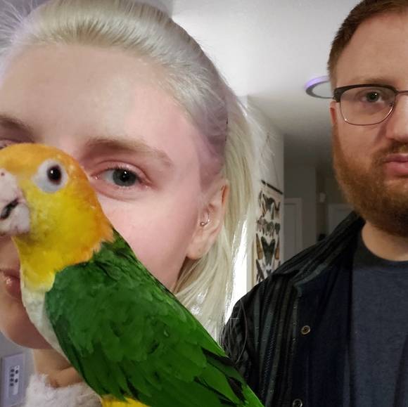 Meet the Posher - Picture 7 of 11